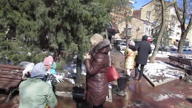 Ростов-на-Дону. Улица Пушкинская. 7 марта 2021 года. Чудесный день. смотреть онлайн