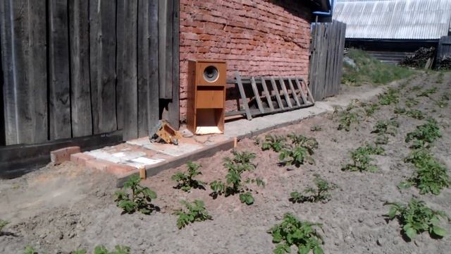 Рупорная акустика на динамике 4а44. Тест плохого микрофона. Часть 4 смотреть онлайн