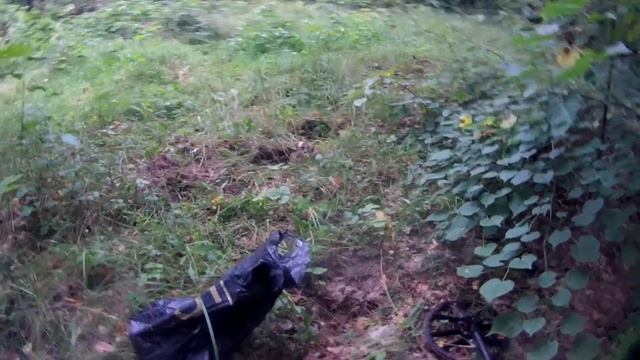 Утренний забег с металлоискателем эквинокс 600 за монетами и грибами