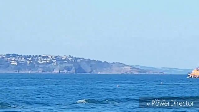 Torbay by Boat #blueplanet #torbay #Dartmouth смотреть онлайн