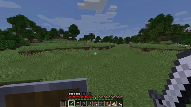 YOU vs MINECRAFT - DAY 2 | You Chose: EXPLORE THE VILLAGE!! (Minecraft 1.14 Hardcore Survival) смотреть онлайн