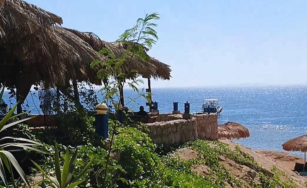 ? Шарм Эль Шейх - Египет ? пляж El fanar club ? Путешествие в Африку EGYPT Sharm El Shekh 2021 ? смотреть онлайн