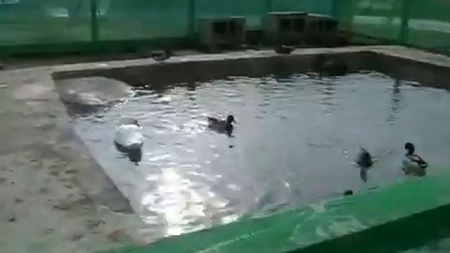 Дорога к храму непригодна. Просим о помощи! смотреть онлайн