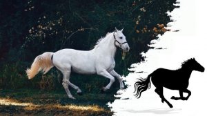 Лошади рысью по траве - Лошадь рысью - Звук копыта лошади | Расслабляющая рысь лошади ?