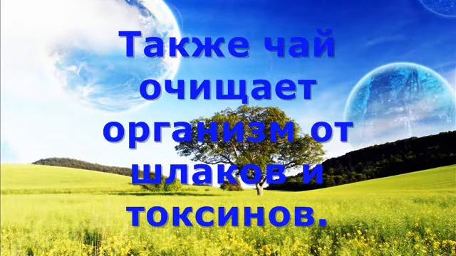 Чай Holy.wmv смотреть онлайн
