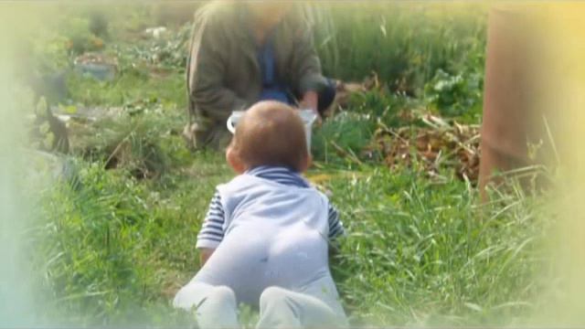 Наш любимый деда, дедушка, дедуля! смотреть онлайн