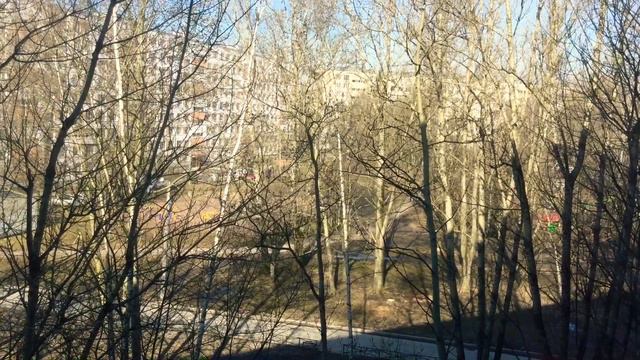 Вот такое прекрасное утро солнышко светит травка зеленеет 12.04+8всем доброго утра смотреть онлайн
