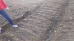 ПОХОД В ЛЕС ЗА ДРОВАМИ/ПОСАДКА ЧЕСНОКА/ВСПАШКА ОГОРОДА