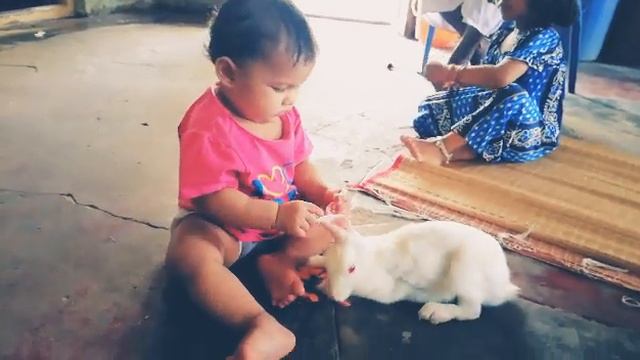 RosE ChilD PlaY WitH WhitE RabbiT | First Video | HaJa Mi смотреть онлайн