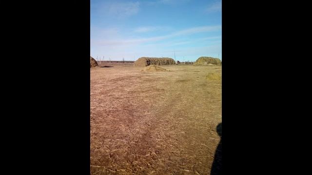 Онлайн-экскурс по сёлам Переволоцкого района "Глубинкою жива Россия 2020" с. Зубочистка -1 смотреть онлайн