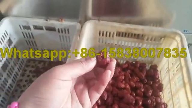 Date palm jujube pitter zizyphus jujuba pitting machine смотреть онлайн