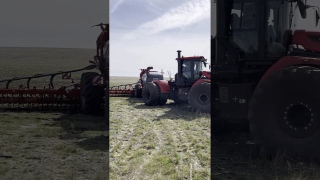 Сеялка HORSCH Pronto 12 NT с трактором Кировец К-742М Ст1 смотреть онлайн
