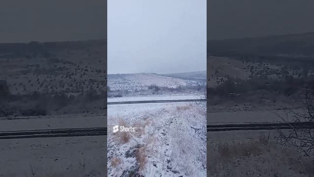 24 ноября 2023 г. (4).mp4 смотреть онлайн