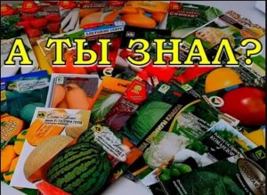 Наконец-то МАРТ???!!! Сеем ОВОЩИ на РАССАДУ???