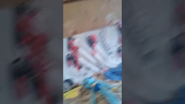 15 сентября 2023 г. смотреть онлайн