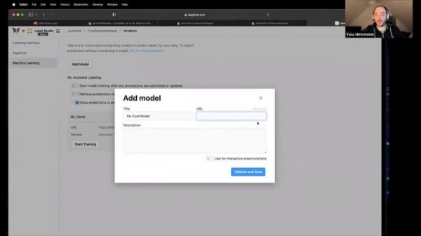 Automate the labeling process with Label Studio and DagsHub