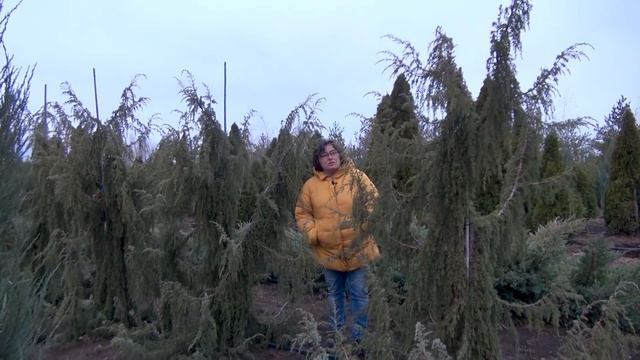 Кусочек из жизни "Репейника". (видео отчёт за ноябрь) смотреть онлайн