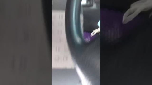 Запуск паджеро мини в -32 после двухнедельного простоя смотреть онлайн