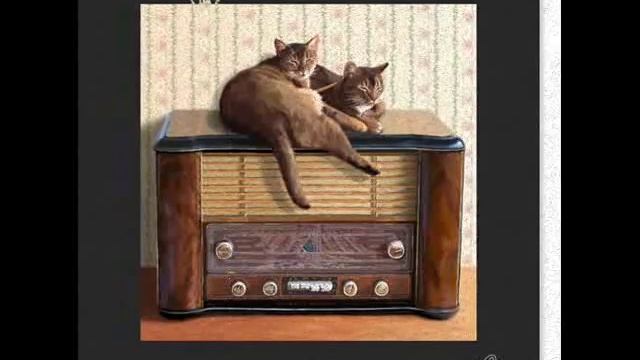 A Nice Cup of Tea - Binnie Hale смотреть онлайн