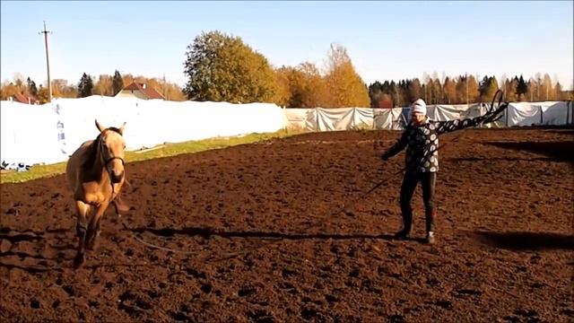 Тренировка с Хардиком 09.10.16 (+FAILs) смотреть онлайн