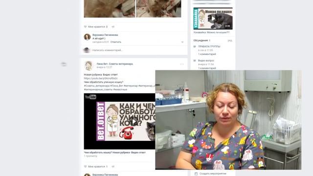 Акне у кота, признаки беременности кошки. ВетОтвет 9-1 смотреть онлайн