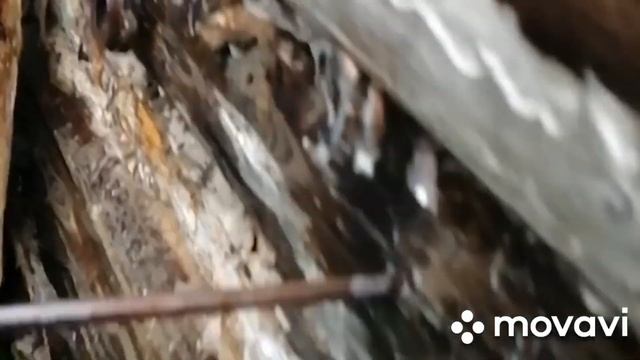 Продолжение железной экспедиции, найдены первые трофеи смотреть онлайн