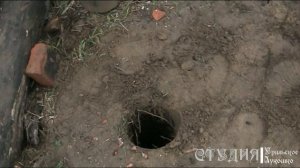 Трос для собаки