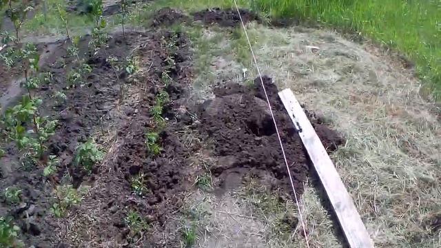 Бурение ям под столбы забора мотобуром Чемпион. 160 метров за пол дня! смотреть онлайн