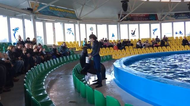 Дельфинарий Немо Минск #6 смотреть онлайн