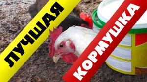 Кормушка для кур своими руками БЕЗ потери кормов