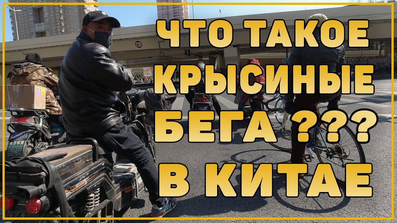 Что Китай дает нам того чего нет дома Что такое крысиные бега смотреть онлайн