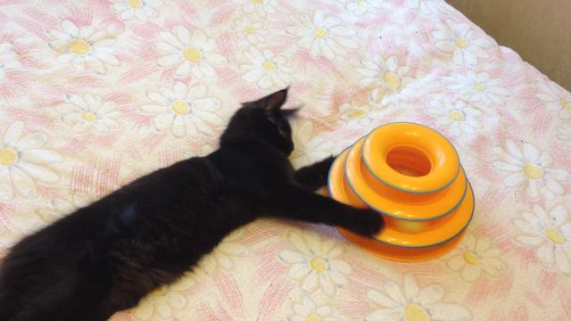 IMG 22221 смотреть онлайн