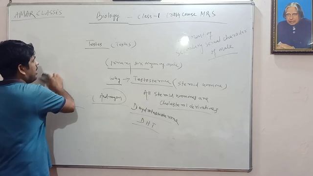 Male reproductive system v.1 смотреть онлайн