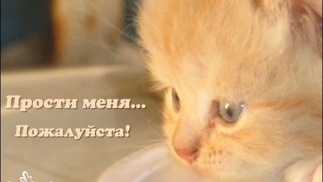Прости меня, пожалуйста! смотреть онлайн
