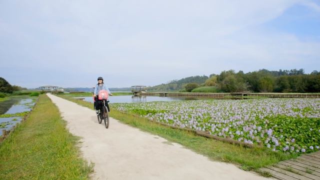 Bobike One - a New Color to the range: Fierce Flamingo! смотреть онлайн