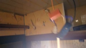 После выключения светодиодные лампы продолжают светиться