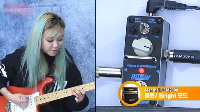 [SundayGearTimes 373회] Toms Line 이펙터 BLUESY ABY-3