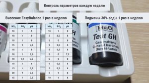Аквариум полгода без подмен с Tetra EasyBalance. Честный эксперимент.