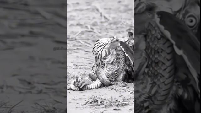 ГОДНЫЙ КОНТЕНТ