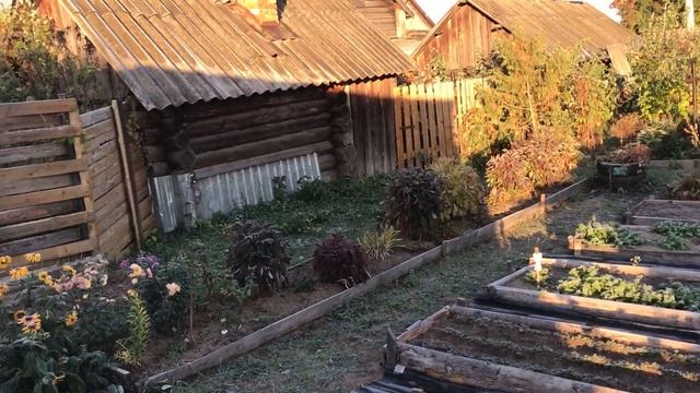 Первый заморозок смотреть онлайн