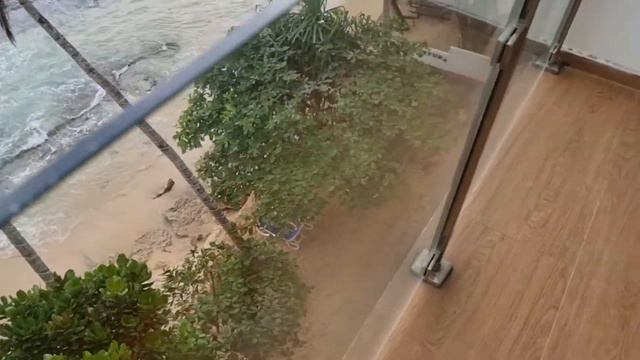 Sayura Beach Hotel смотреть онлайн