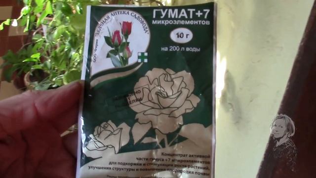 ДРАЦЕНА СПАСАЛА МЕНЯ  ПРИНИМАЮ МЕРЫ ПО СПАСЕНИЮ ДРАЦЕНЫ!