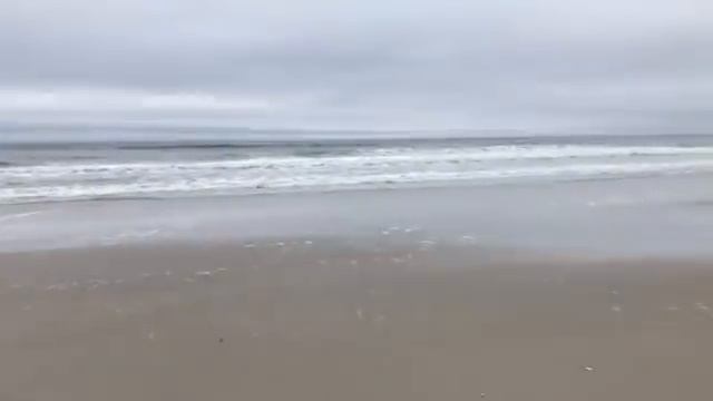 Лена Хеппи накачала губки. Летит в объятия незнакомца. Новые приключения? USA Lena Happy Every Day смотреть онлайн