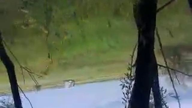 Видео0000.3gp смотреть онлайн