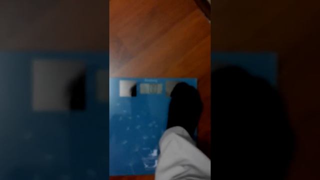 Весы Elenberg смотреть онлайн