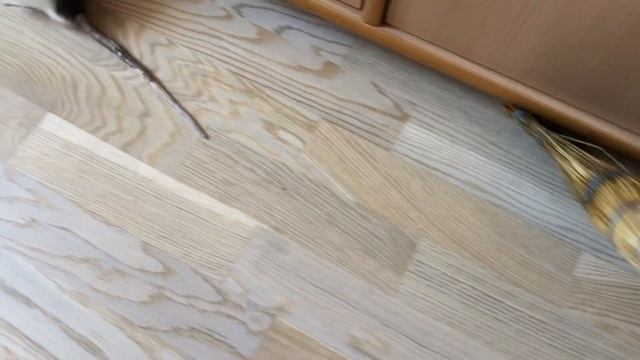 Крыс Казимир бросается на веник. Видит в нем врага? смотреть онлайн