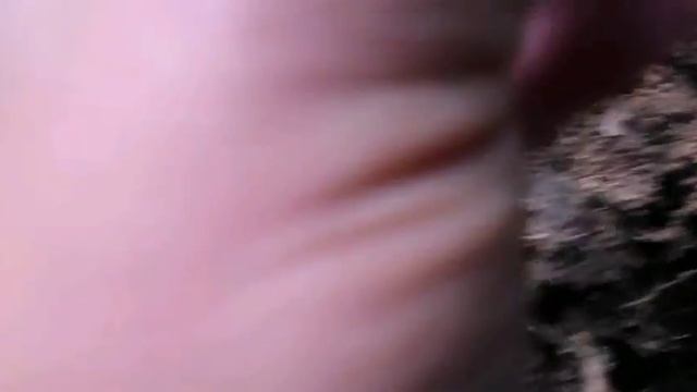 Коп в подмосковном лесу смотреть онлайн