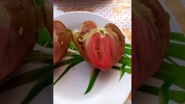 томат Чёрное сердце Америки смотреть онлайн