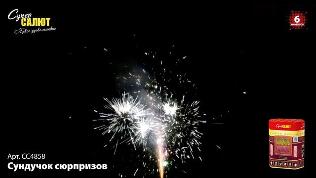 СС4858_2022 смотреть онлайн