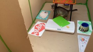 24 ЧАСА в лагере ИЗ КАРТОНА играем В ПРЯТКИ